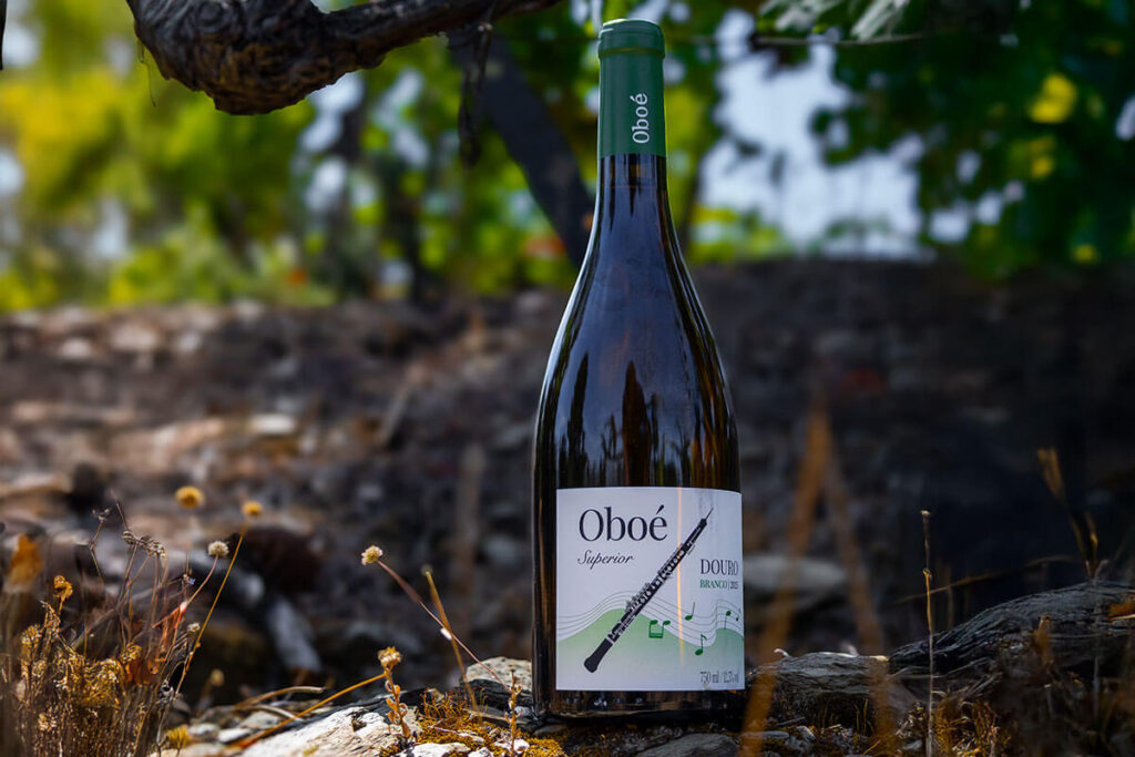 Garrafa de vinho branco Oboé Superior Douro pousada sobre pedra na vinha do Douro.