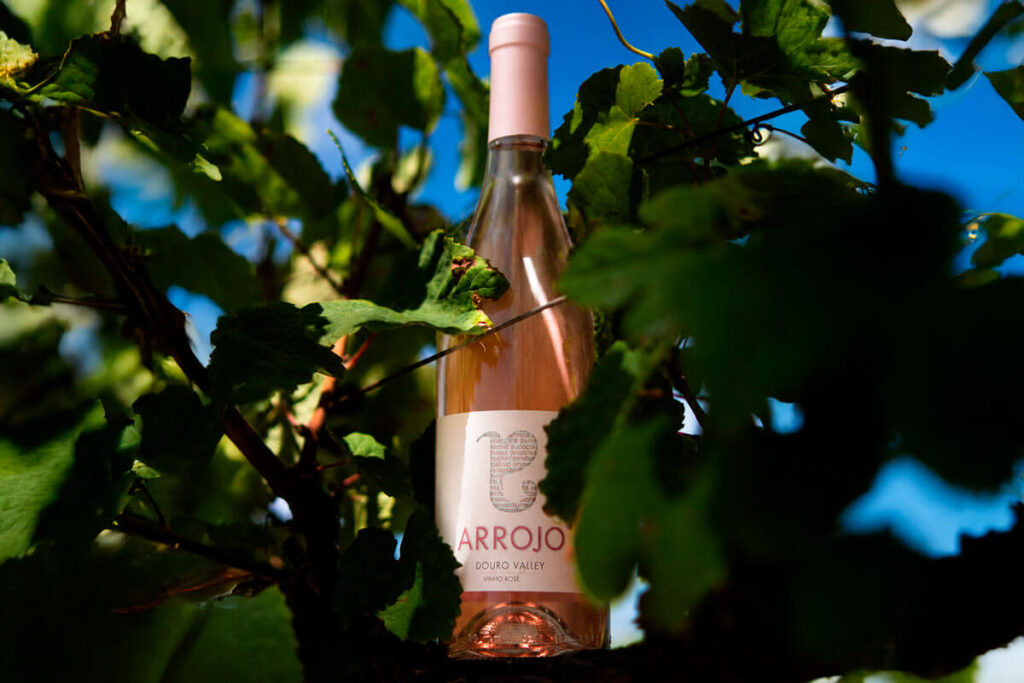 Garrafa de vinho rosé Arrojo Douro Valley entre videiras numa vinha do Douro.