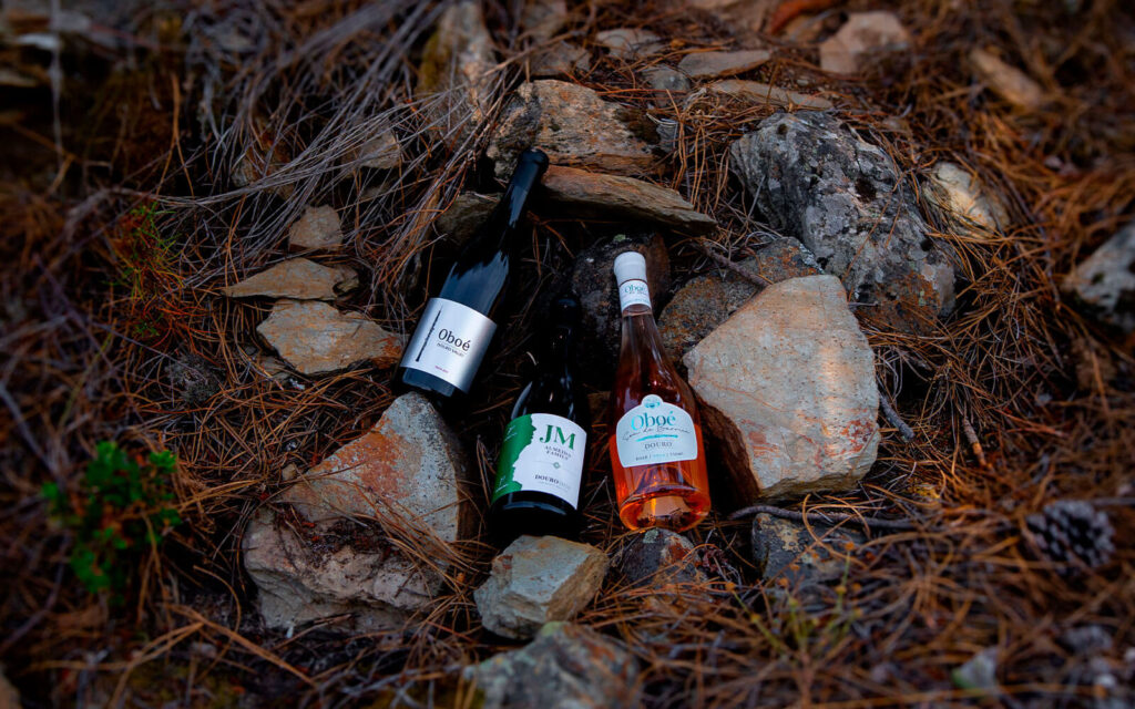Garrafas Oboé e JM vistas de cima, dispostas entre pedras e vegetação seca.