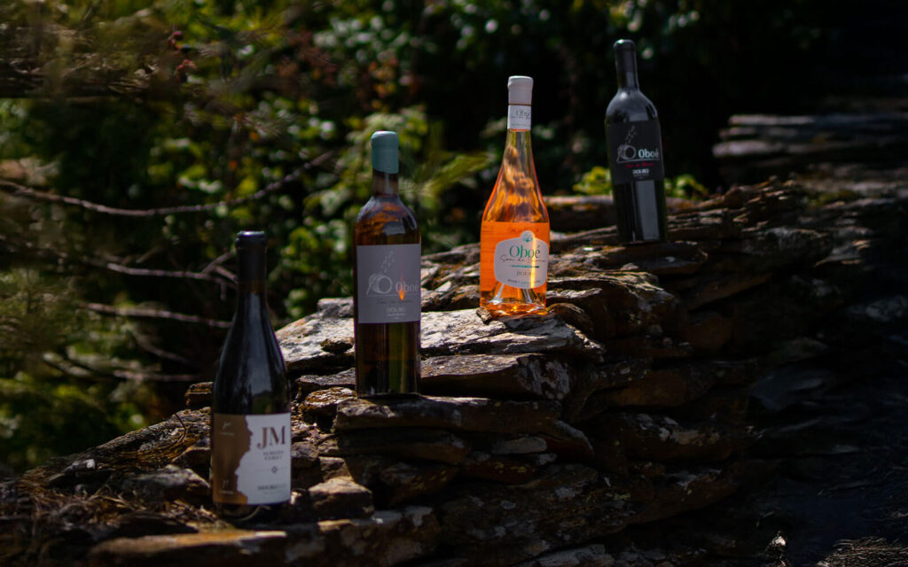 Garrafas de vinho JM e Oboé dispostas sobre um muro de xisto em ambiente natural.